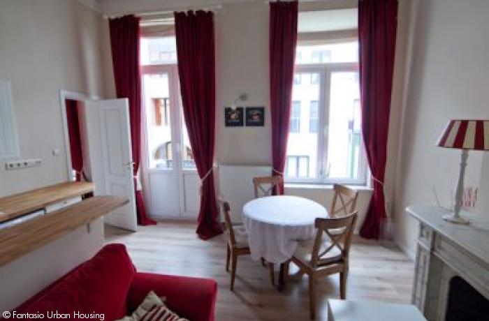 <p>1 bedroom furnished appartement with high ceilings and mezzanine walking distance from Place Luxembourg and Shuman area</p>